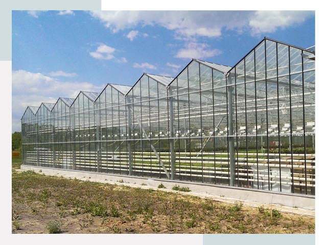 Строительство теплиц в Новосибирск от 610 руб. за м²